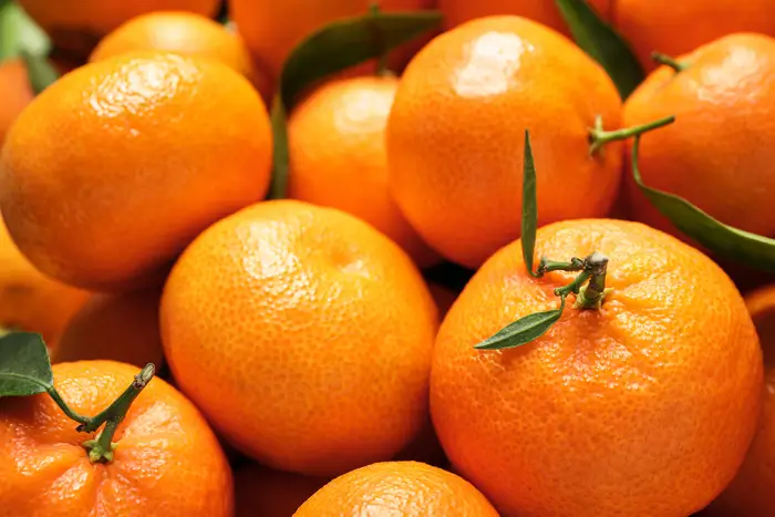Kinnow mandarin