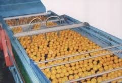 Sorting